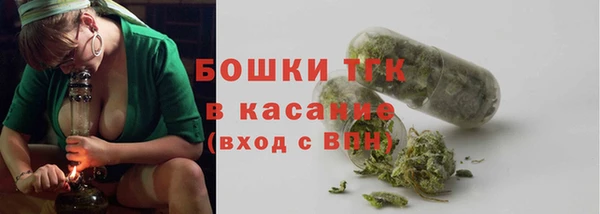 a pvp Аркадак