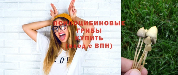 экстази Арсеньев